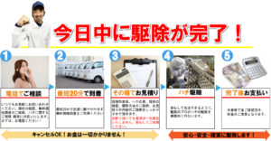 蜂駆除　駆除流れ