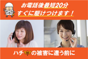 ハチ駆除業者即日
