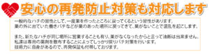 ハチ駆除再発防止