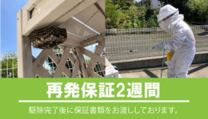 再発保証