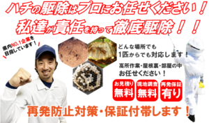 ハチ駆除業者