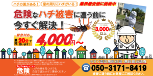 ビートルズ　ハチ駆除