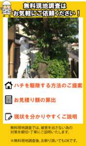 蜂駆除　無料現地調査