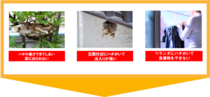 ハチ駆除悩み