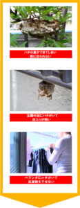 ハチ駆除悩み