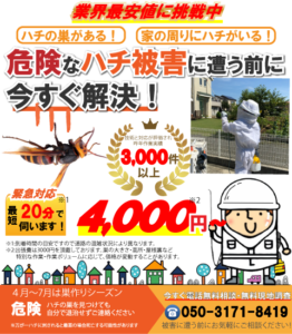 Bee捕るズ　蜂駆除