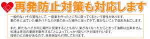 Bee捕るズ　再発防止対策