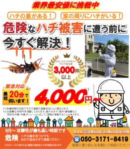 ビートルズ　蜂駆除