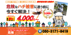 ビートルズ　蜂駆除