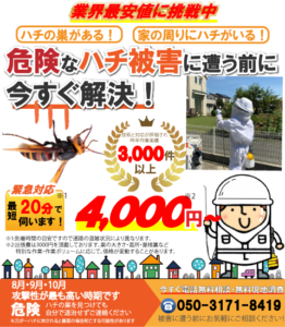 ビートルズ　蜂駆除