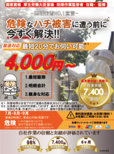 神奈川県ハチ駆除